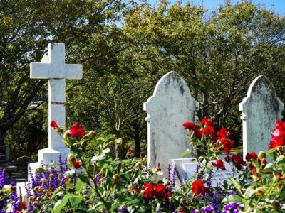 Porirua_Cemetery.2e16d0ba.fill-768x402_Elise-Yule